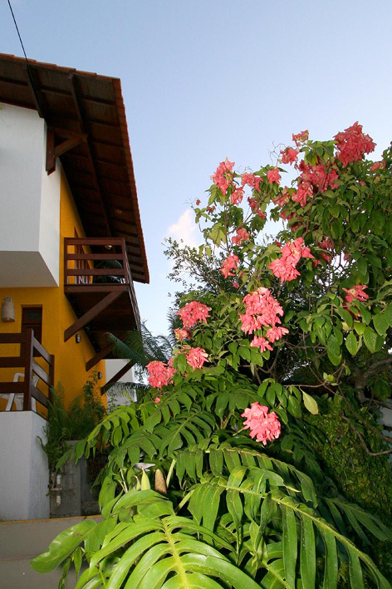 Pousada Castanheira นาตาล ภายนอก รูปภาพ